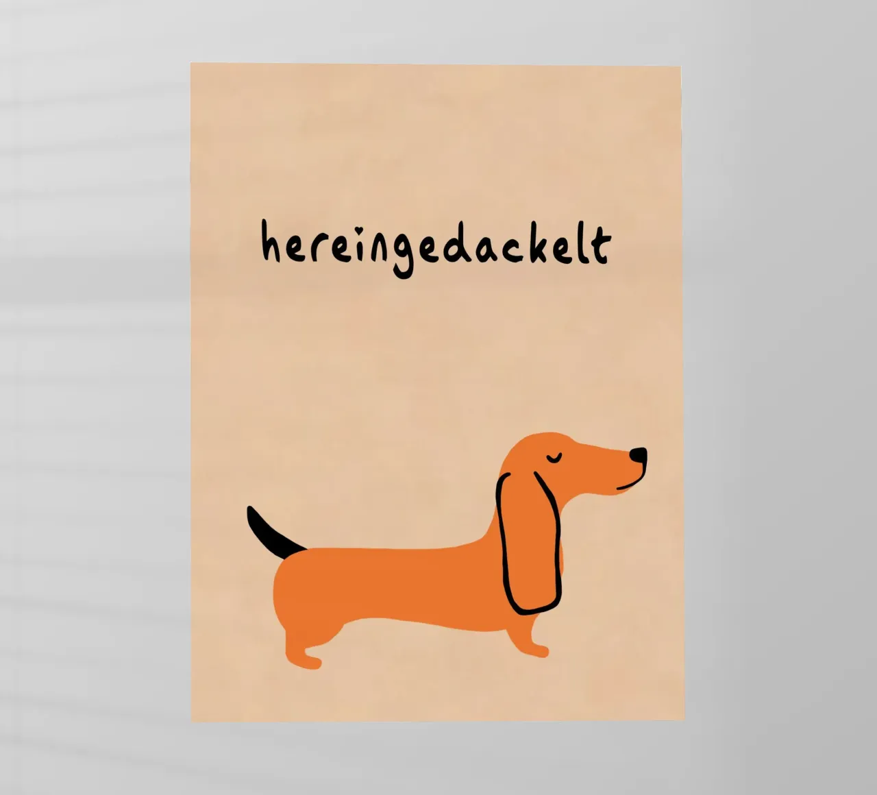 Intervenire con umorismo pellicola backlit da Carina Pop & Pastell