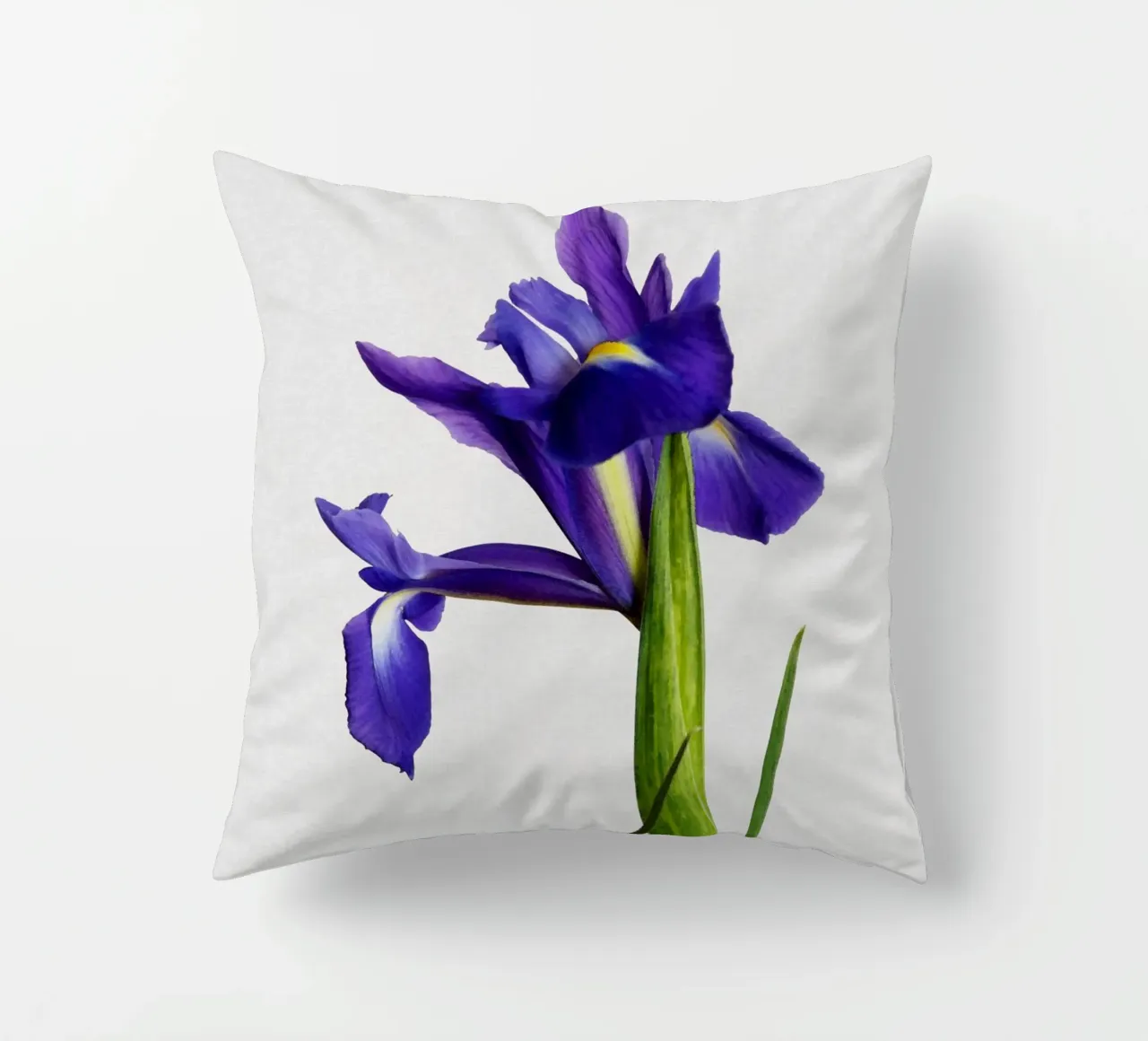 Natura morta di iris cuscino da Orara Studio
