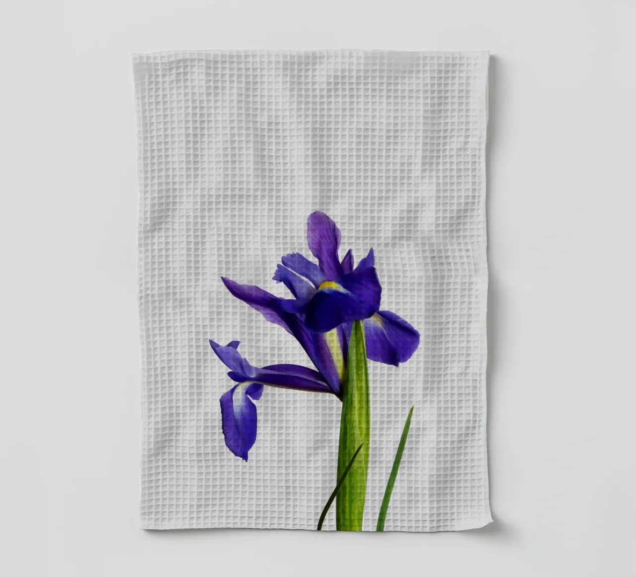 Nature morte à l'iris torchon de Orara Studio