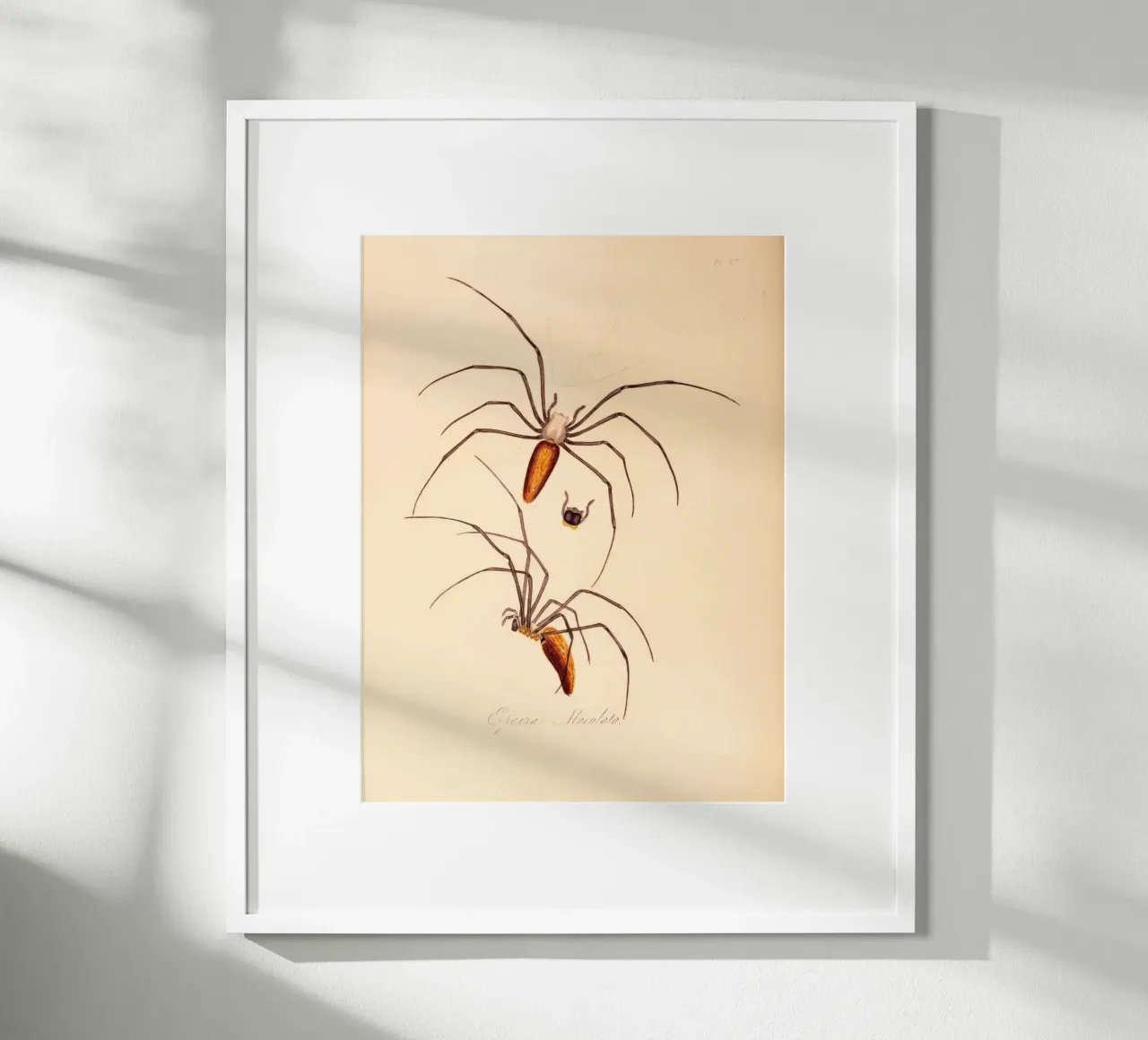 creepos poster da vintagebotanics