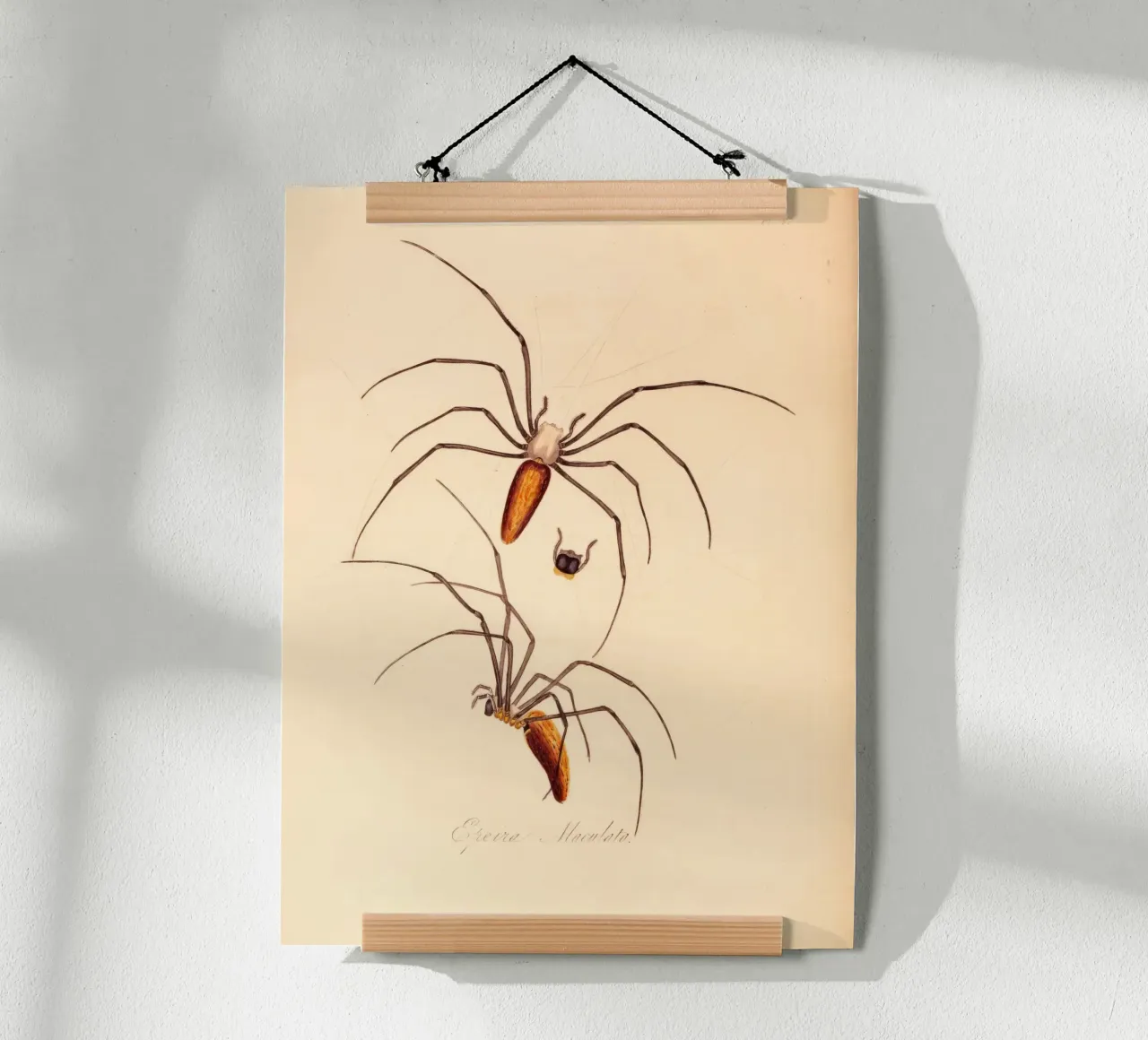 creepos poster da vintagebotanics