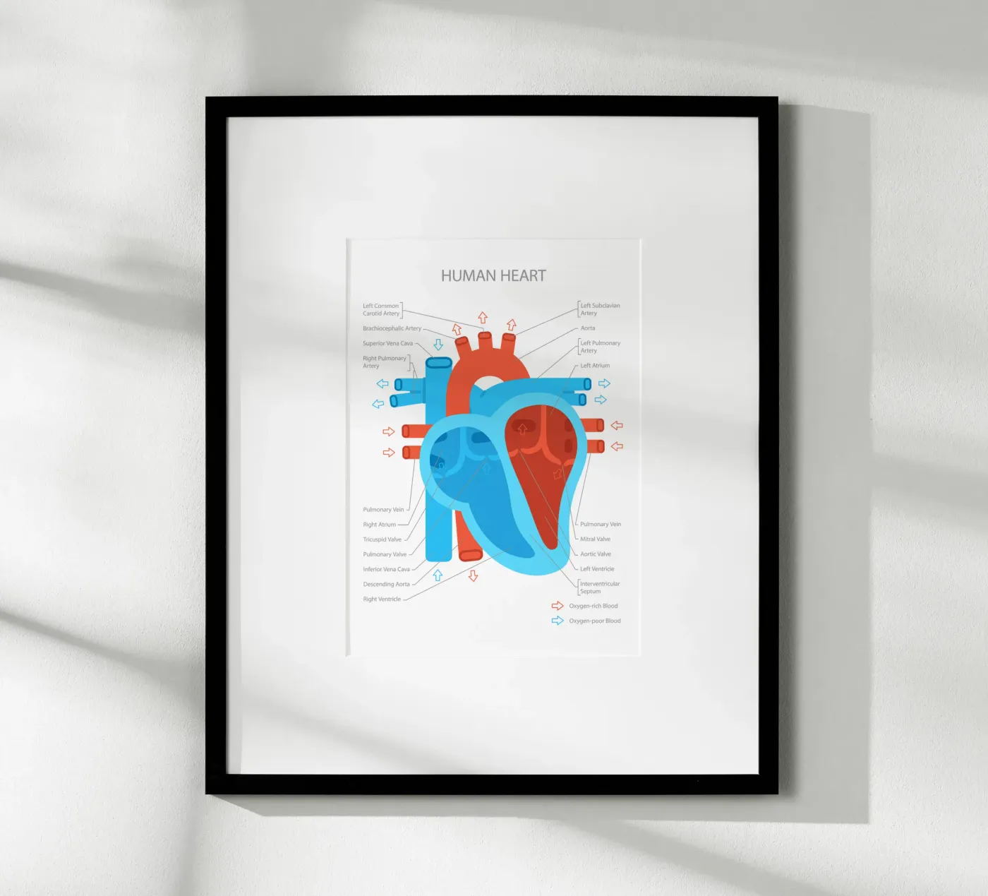 Human Heart poster da Lidia Blomgren