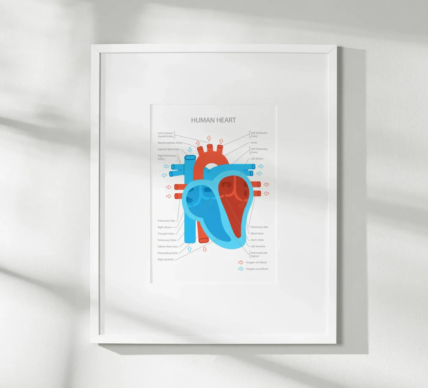 Human Heart poster da Lidia Blomgren