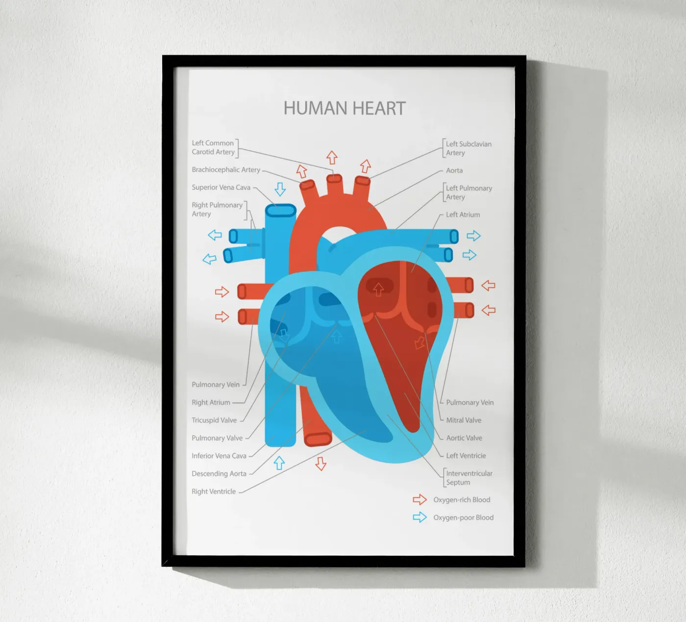 Human Heart poster da Lidia Blomgren