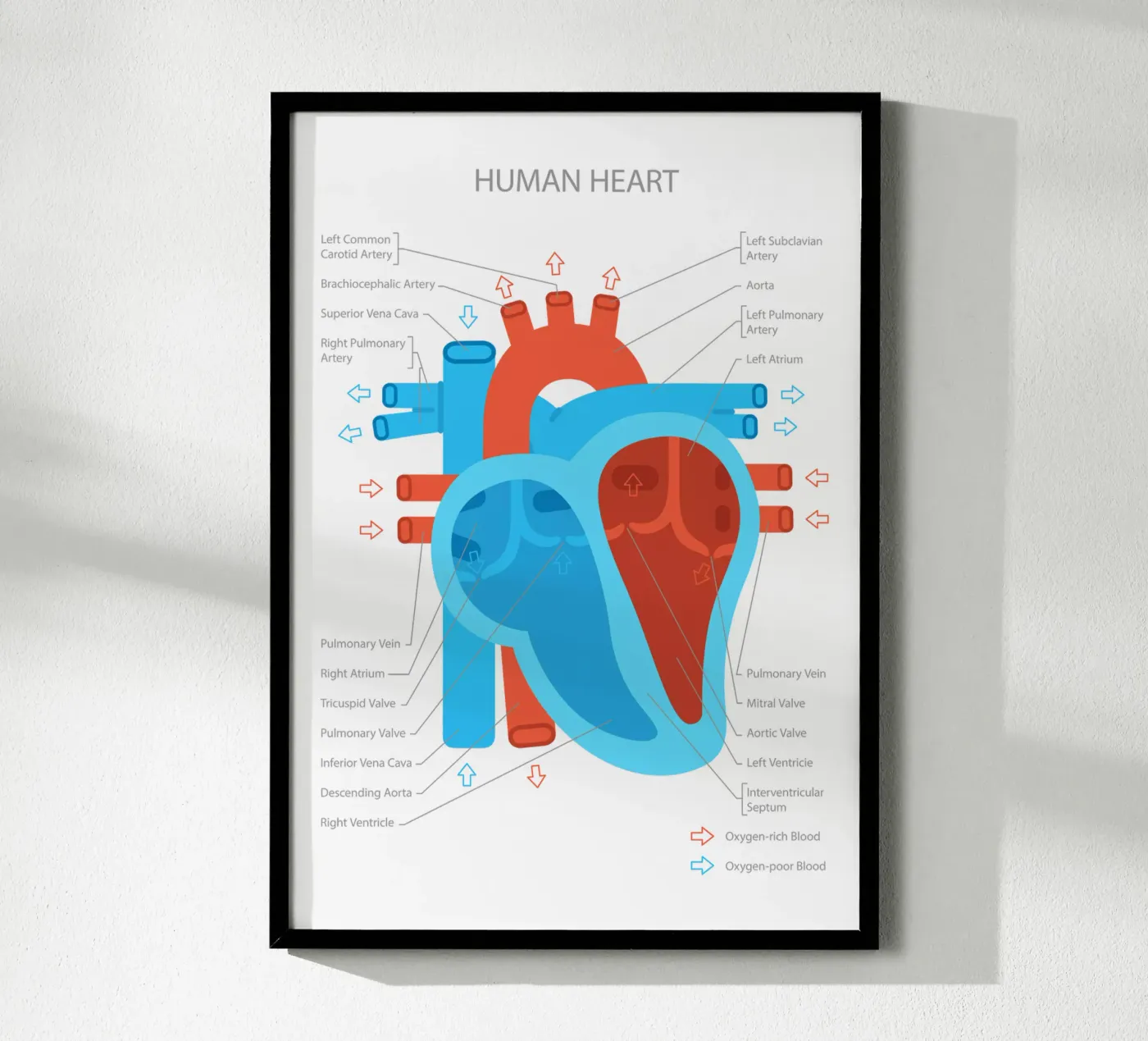 Human Heart poster da Lidia Blomgren