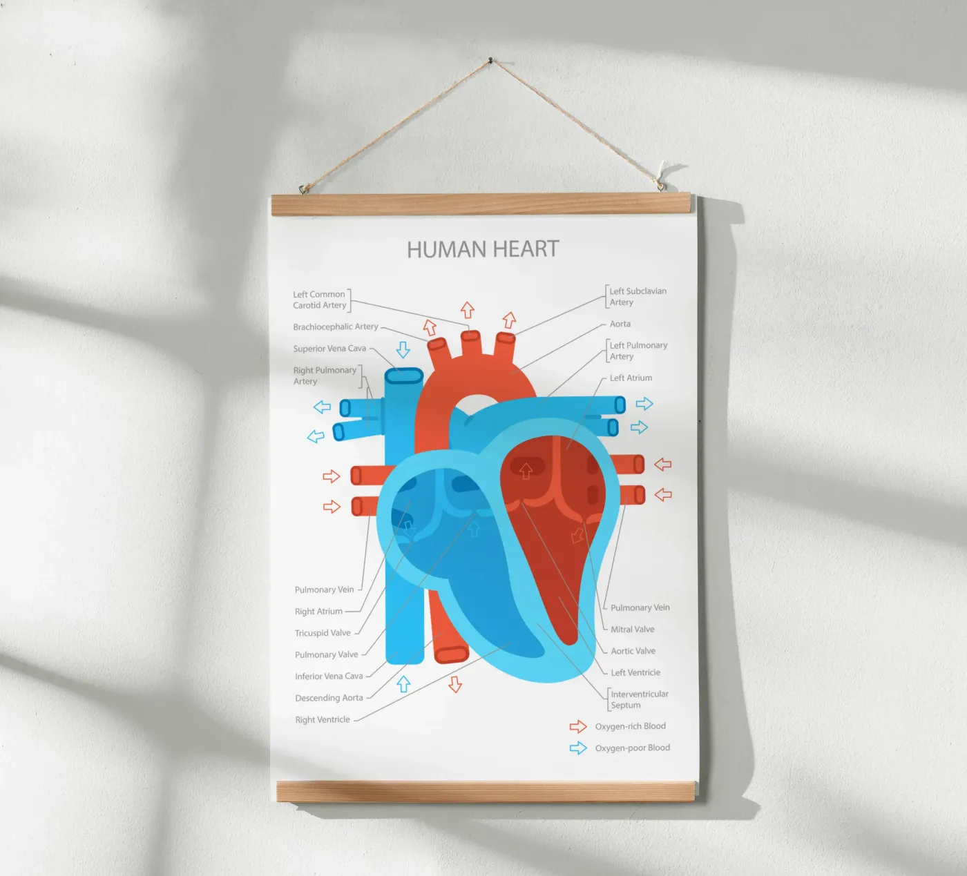Human Heart poster da Lidia Blomgren