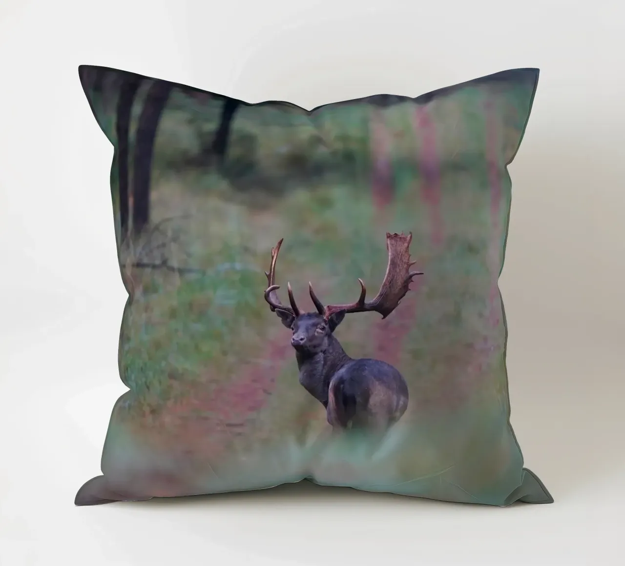 Maschio di daino cuscino da Tom's Wildlife