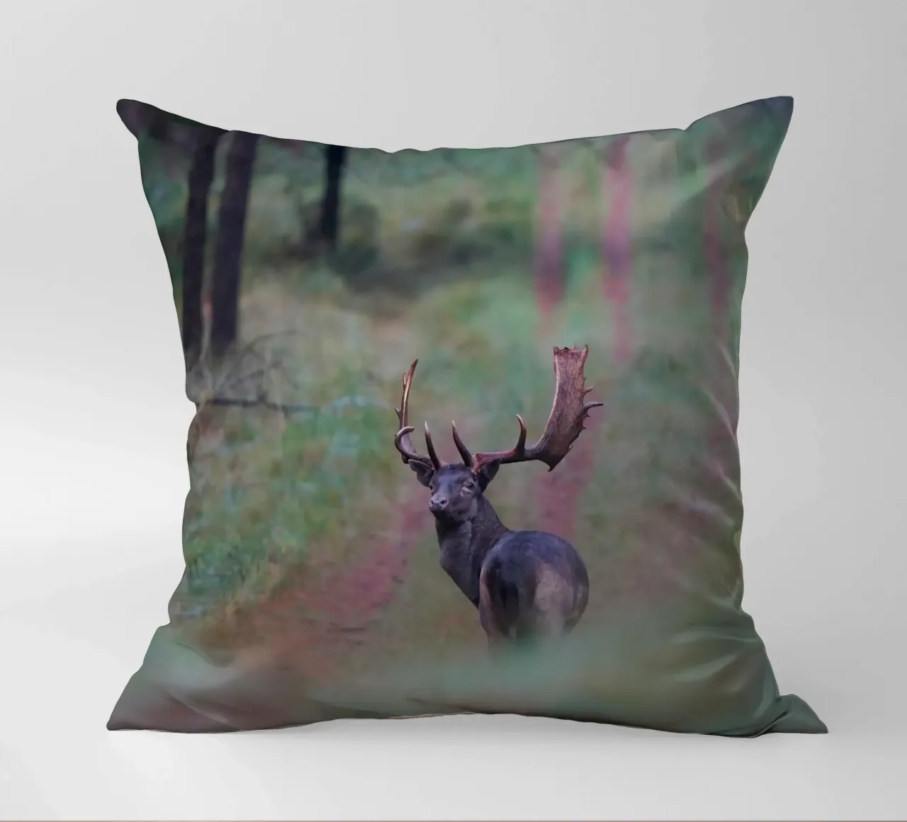 Maschio di daino cuscino da Tom's Wildlife