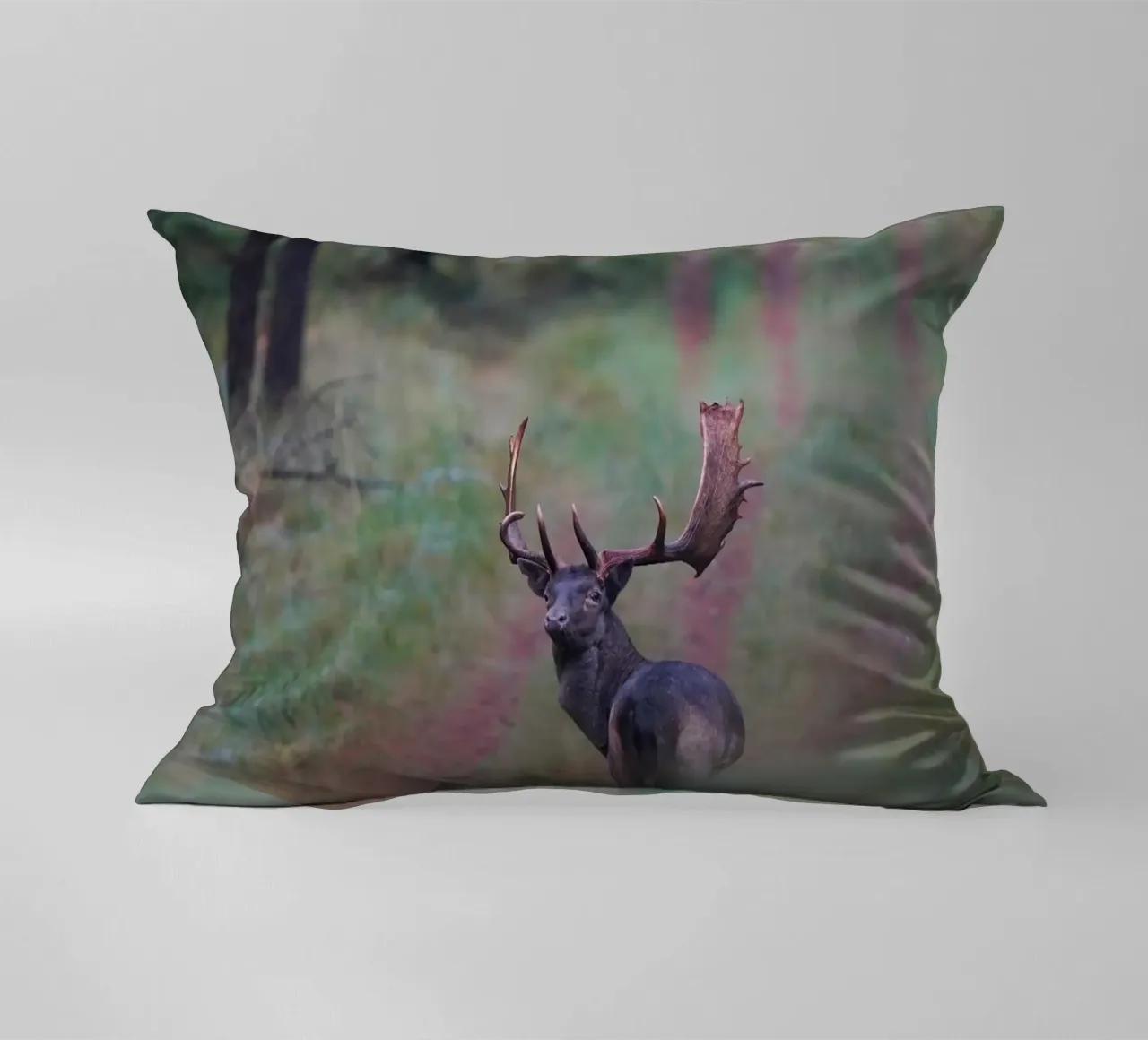 Maschio di daino cuscino da Tom's Wildlife