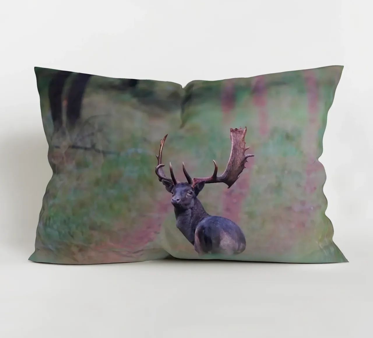 Maschio di daino cuscino da Tom's Wildlife
