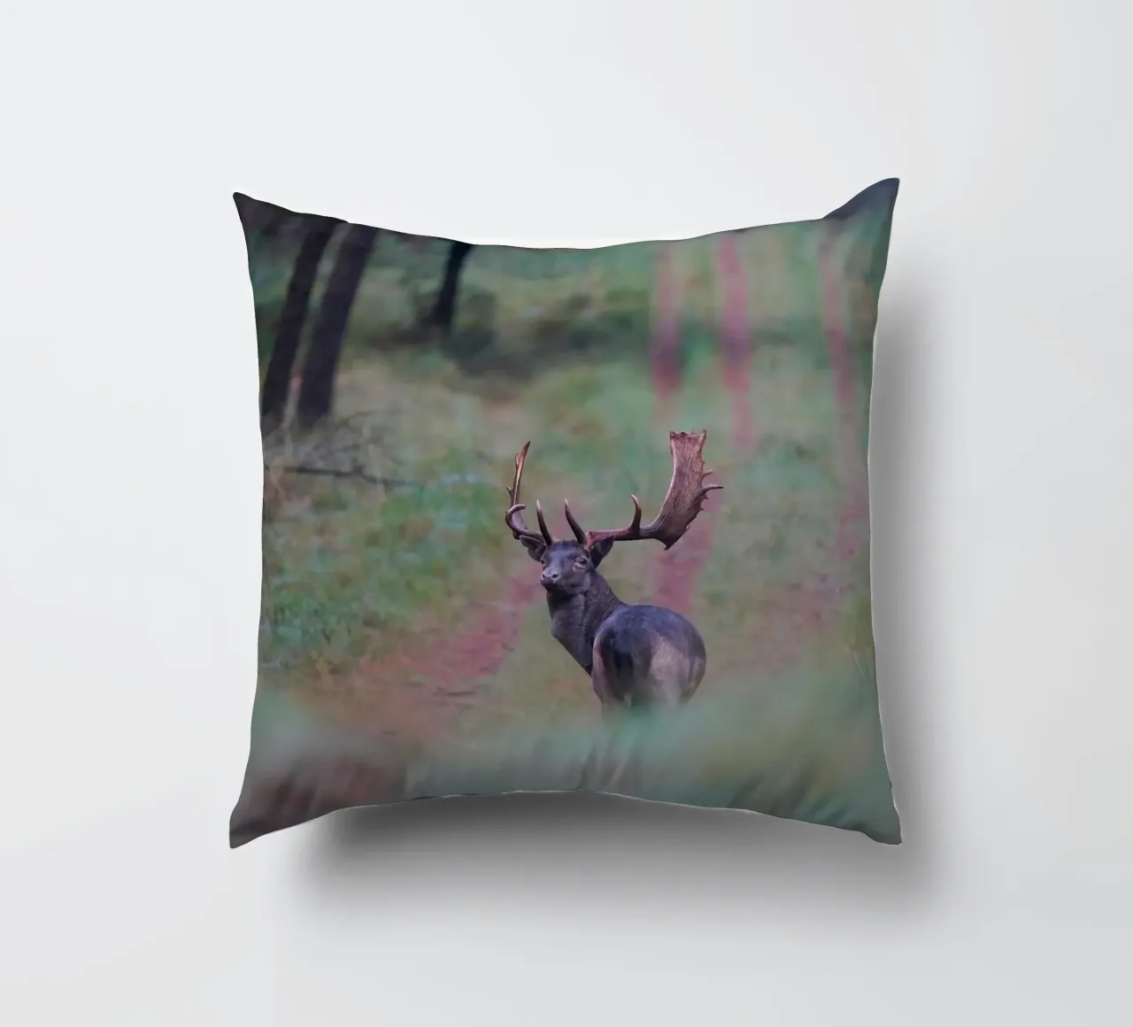 Maschio di daino cuscino da Tom's Wildlife