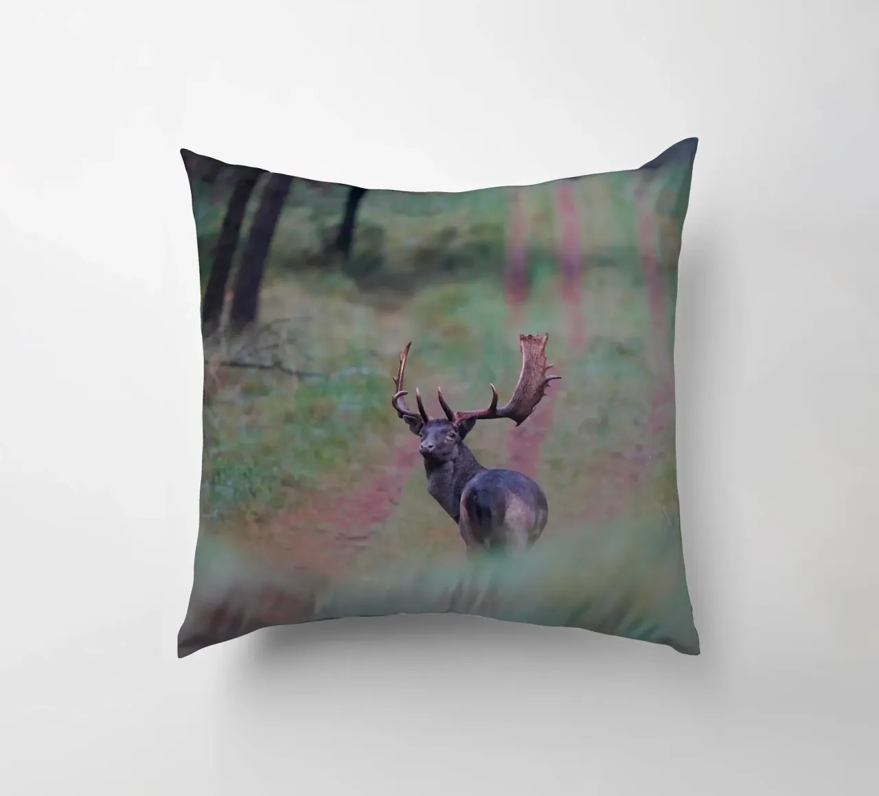 Maschio di daino cuscino da Tom's Wildlife