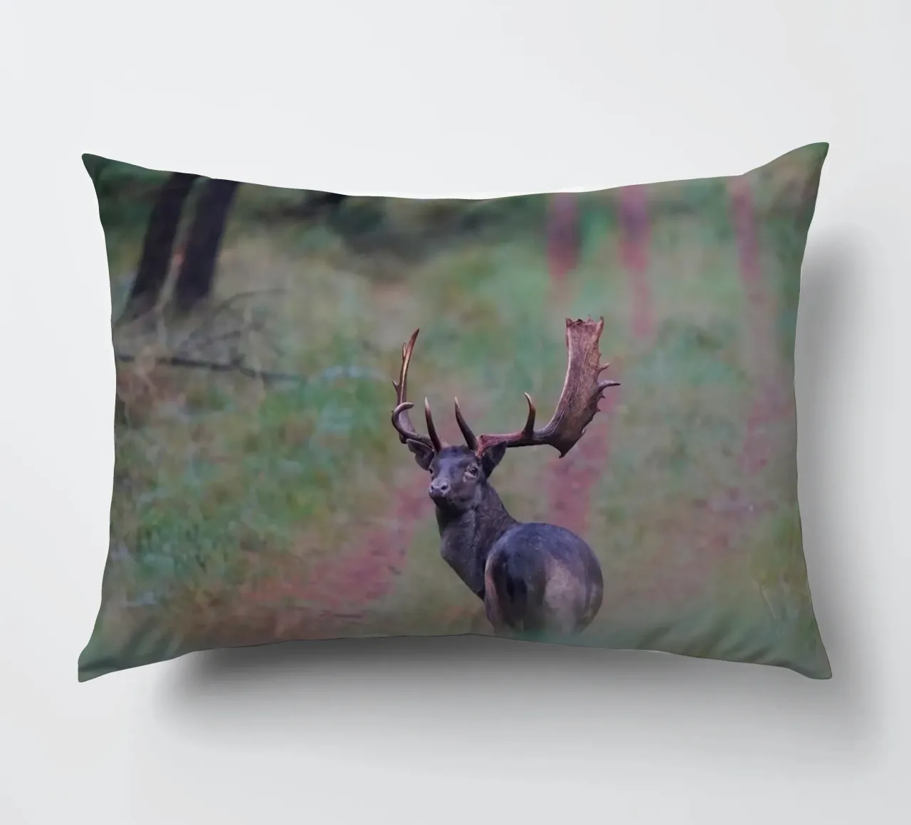 Maschio di daino cuscino da Tom's Wildlife