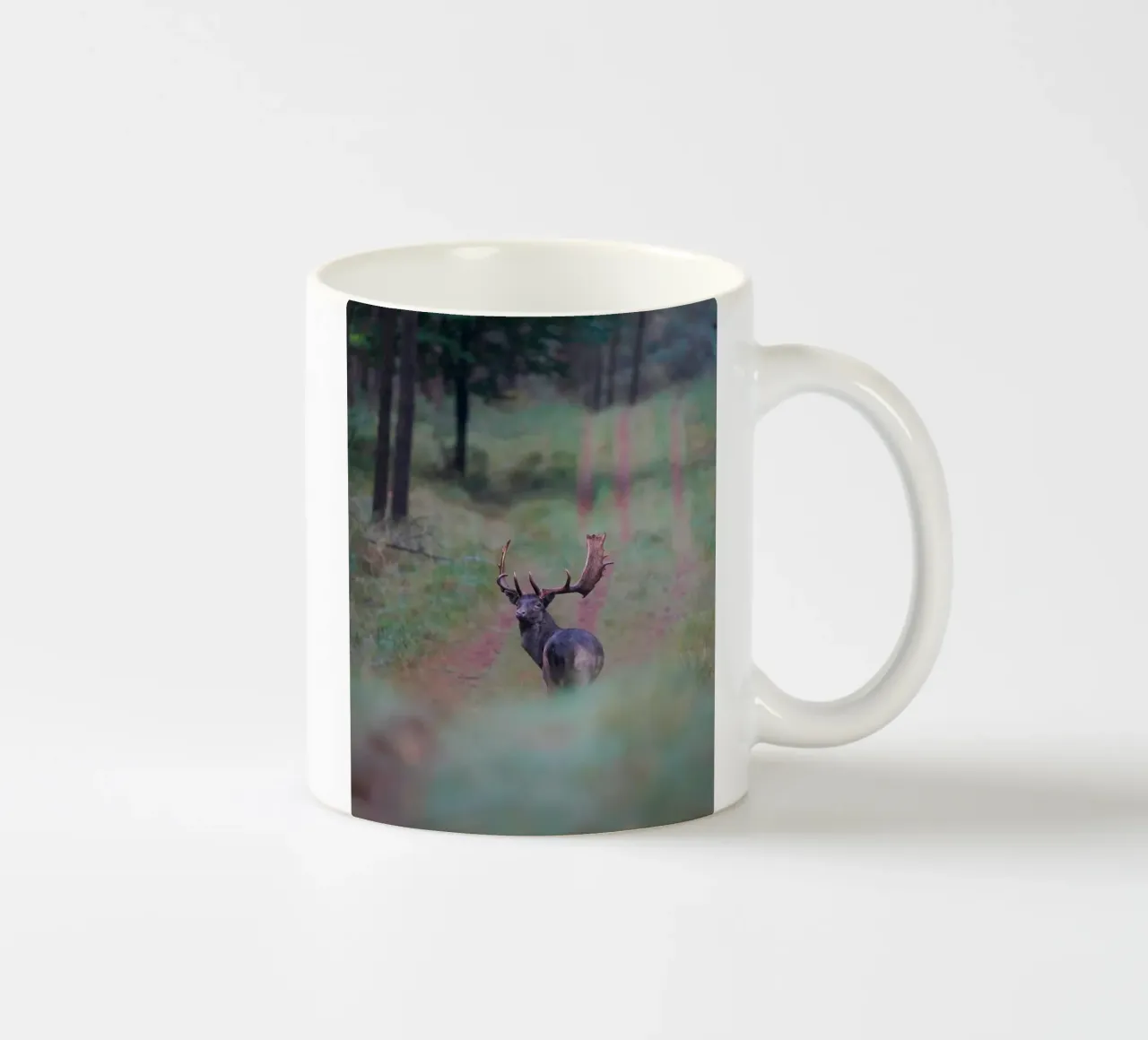 Maschio di daino tazza in ceramica da Tom's Wildlife