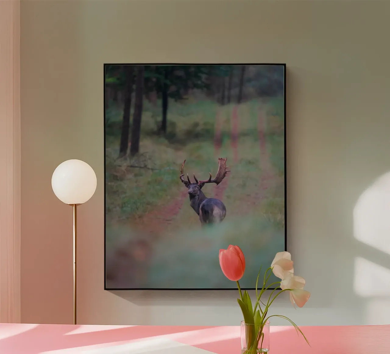 Gamo macho metacrilato de Tom's Wildlife