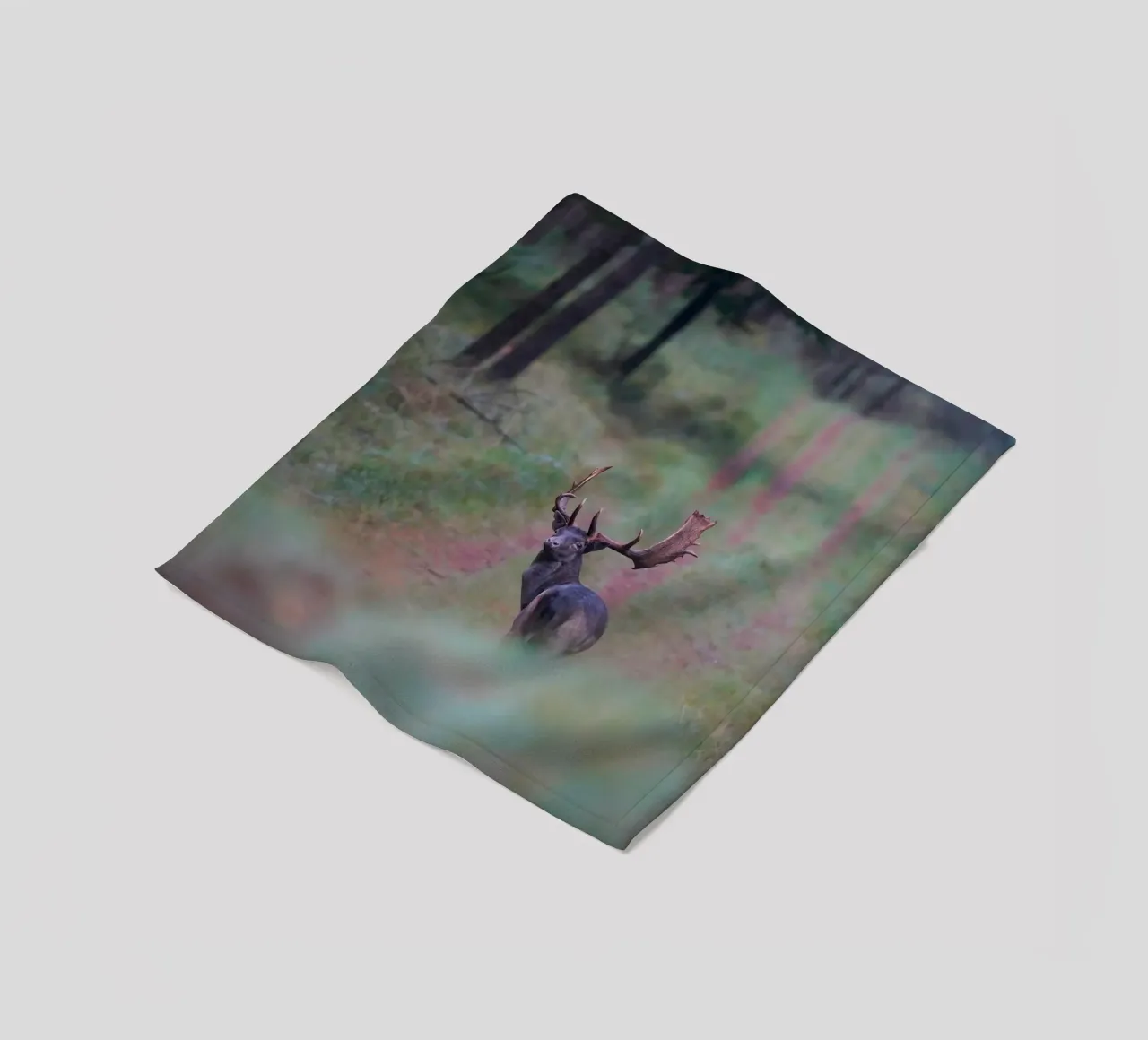 Maschio di daino coperta in pile da Tom's Wildlife