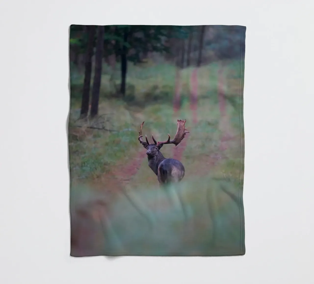 Maschio di daino coperta in pile da Tom's Wildlife