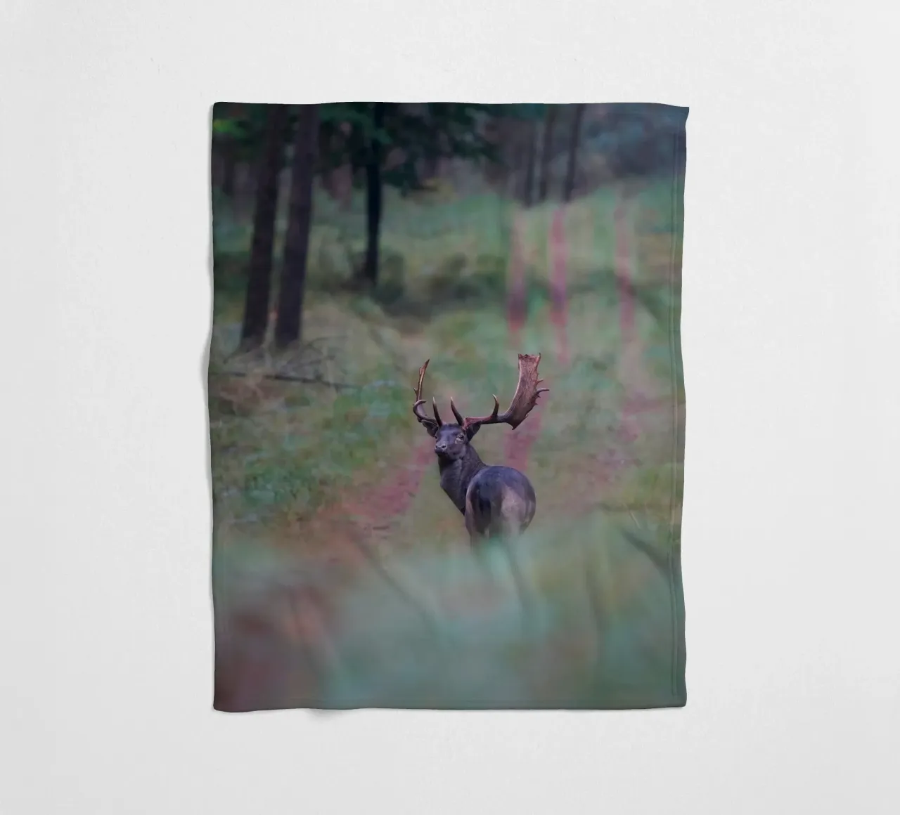 Maschio di daino coperta in pile da Tom's Wildlife