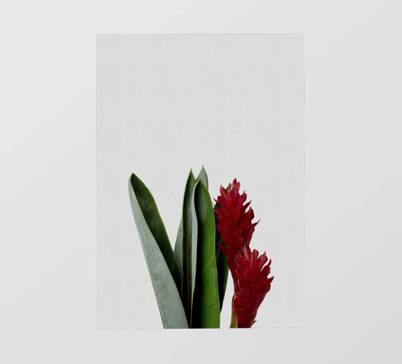 Fiore rosso telo in pvc da Orara Studio