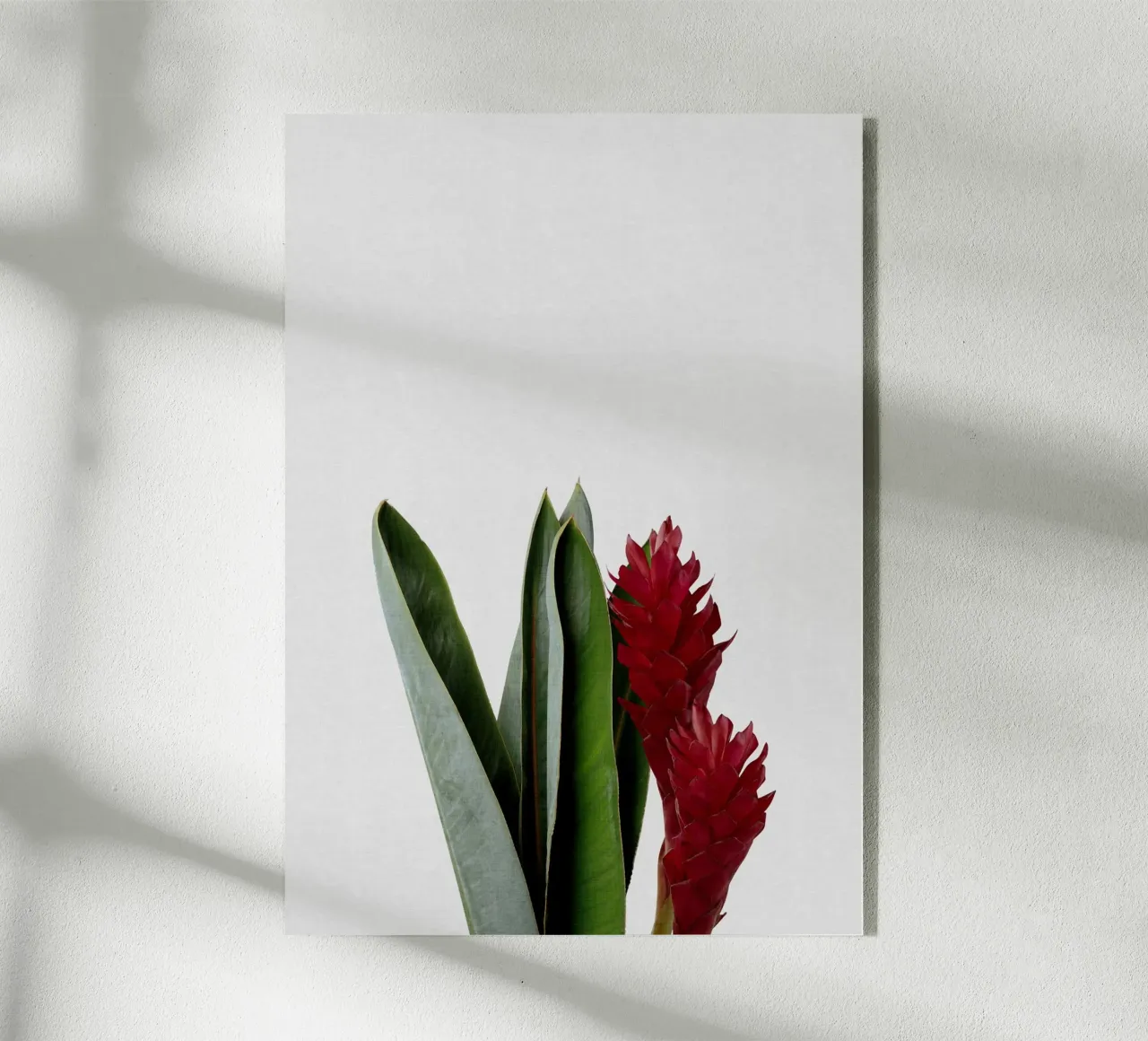 Fiore rosso plexiglass da Orara Studio