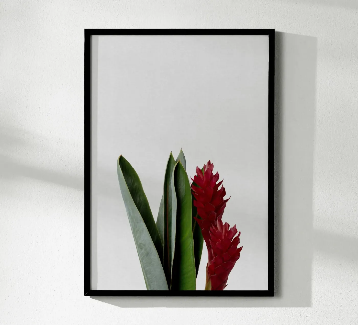 Fiore rosso poster da Orara Studio