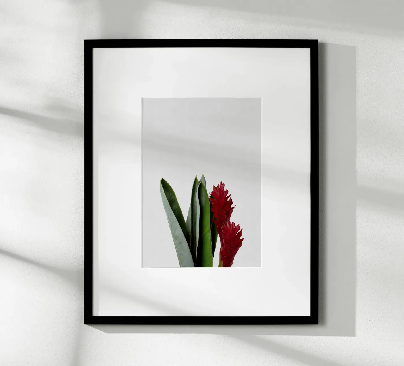 Fiore rosso poster da Orara Studio