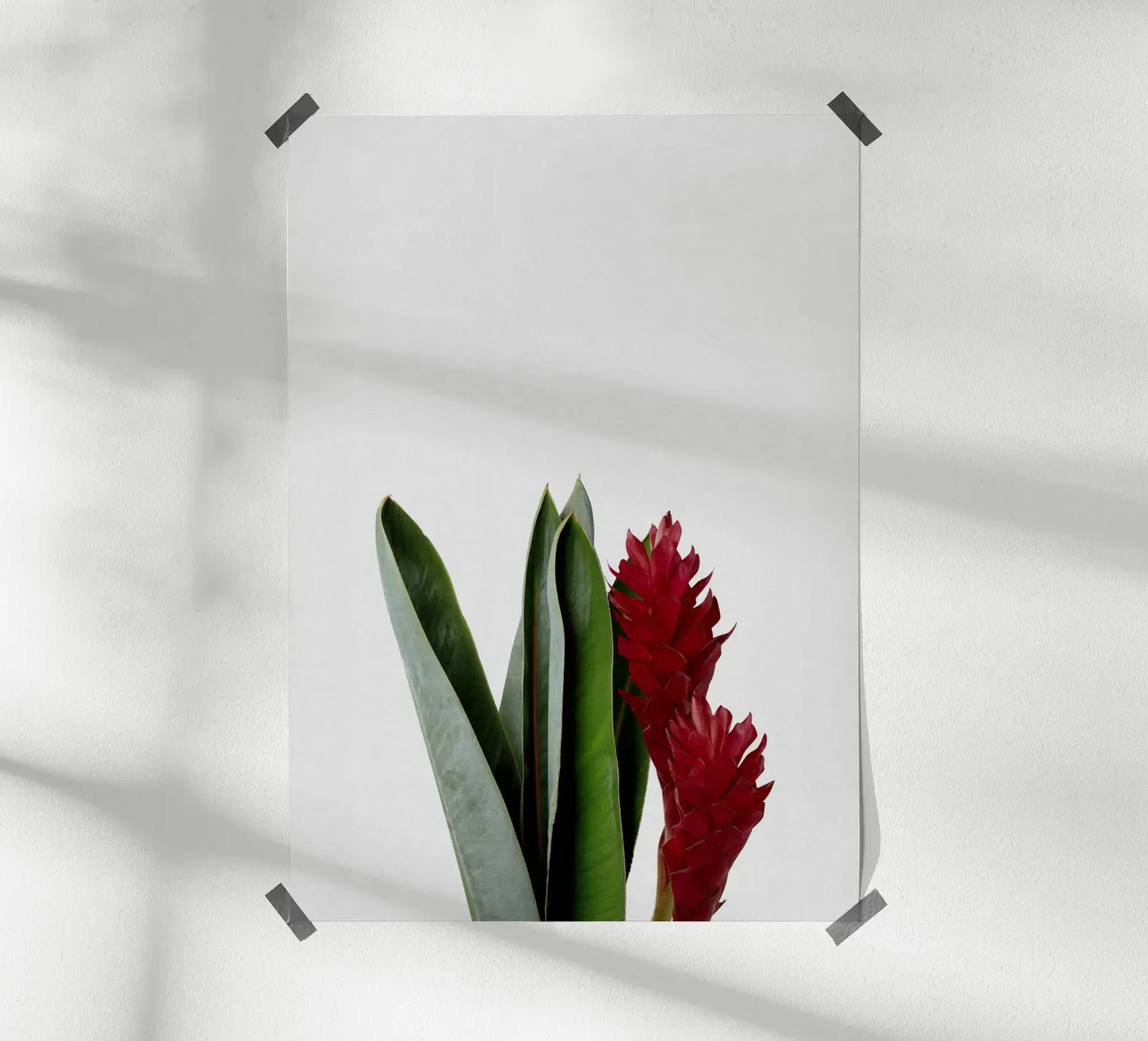 Fiore rosso poster da Orara Studio