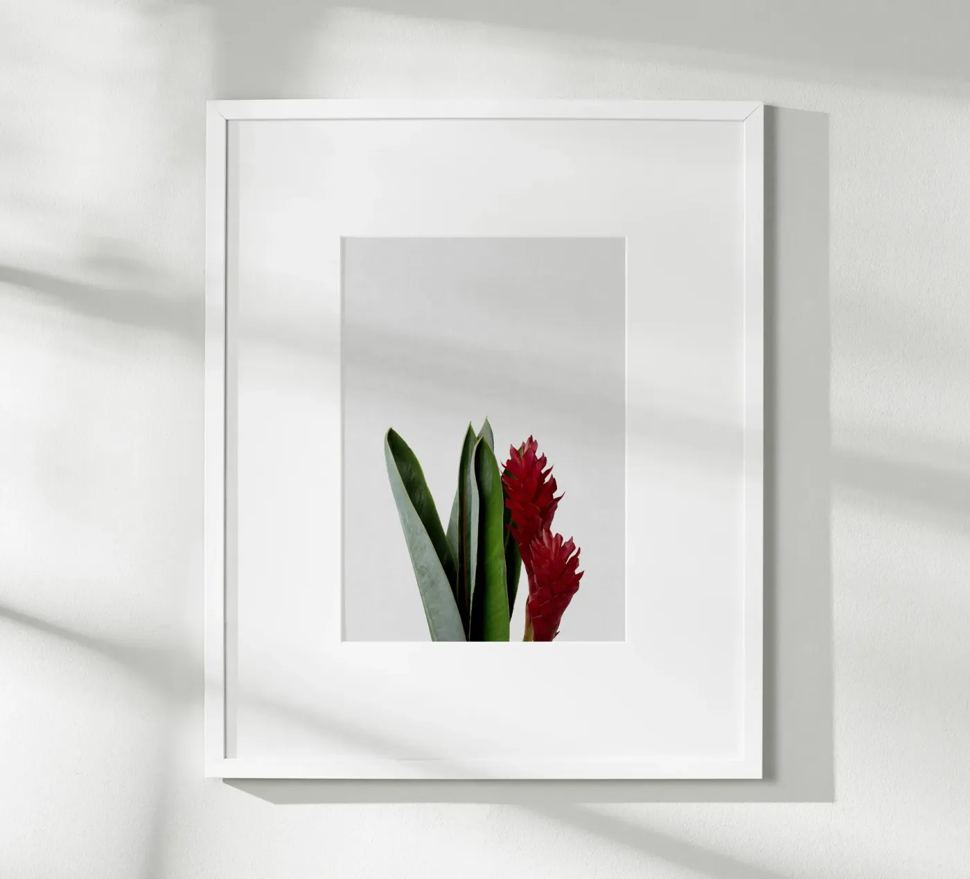 Fiore rosso poster da Orara Studio