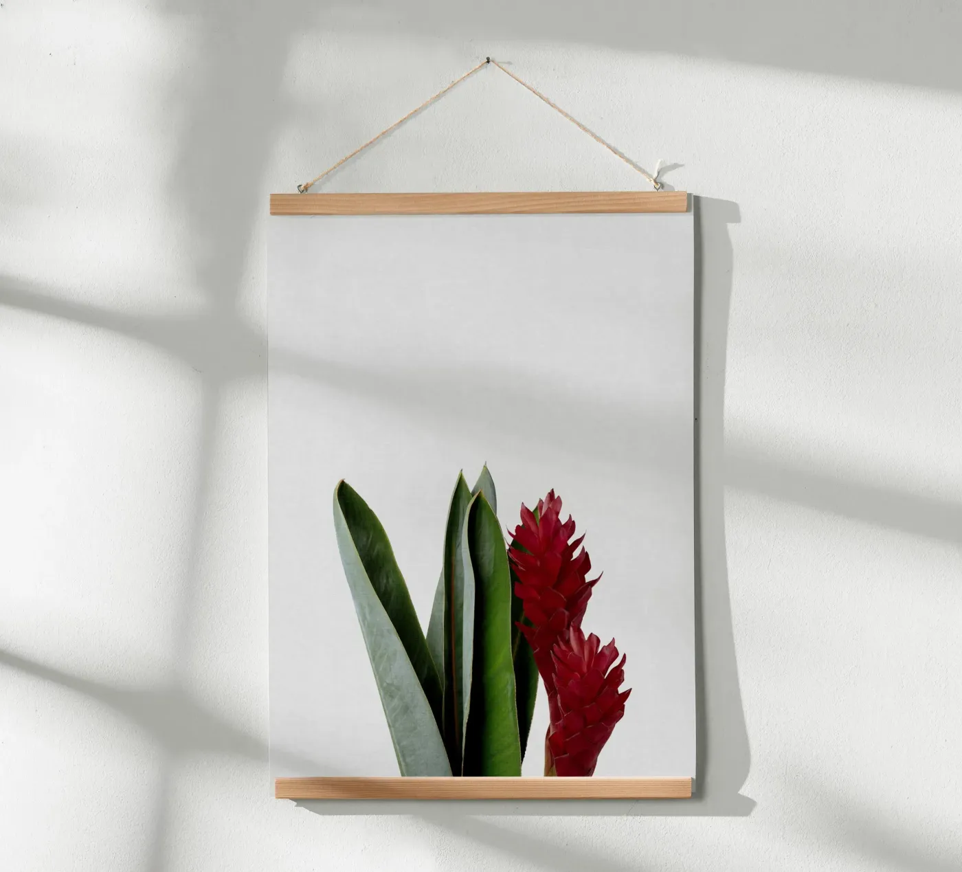 Fiore rosso poster da Orara Studio