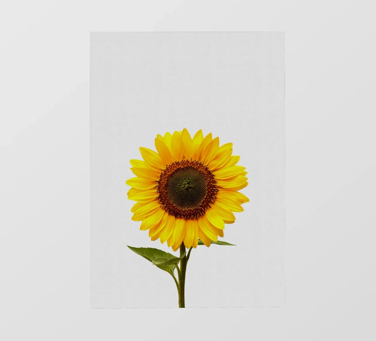 Girasole telo in pvc da Orara Studio
