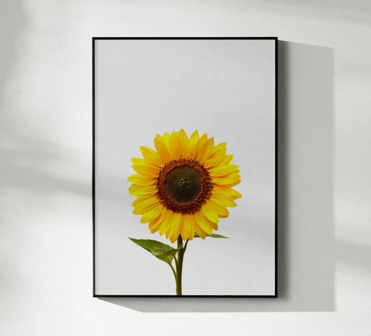 Girasole plexiglass da Orara Studio