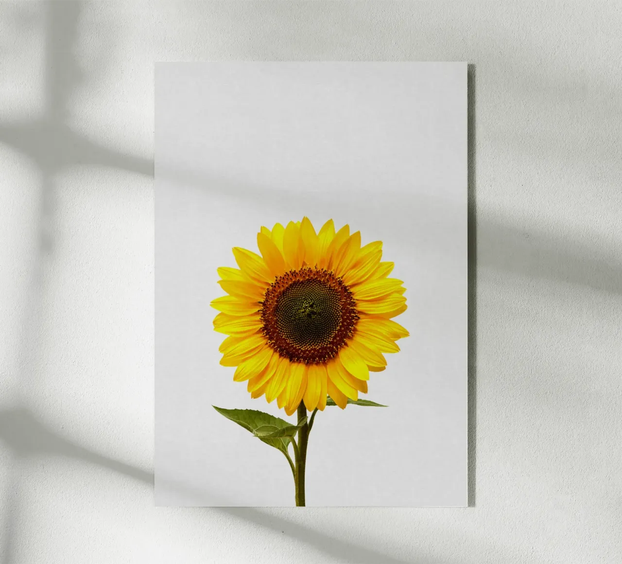 Girasole plexiglass da Orara Studio