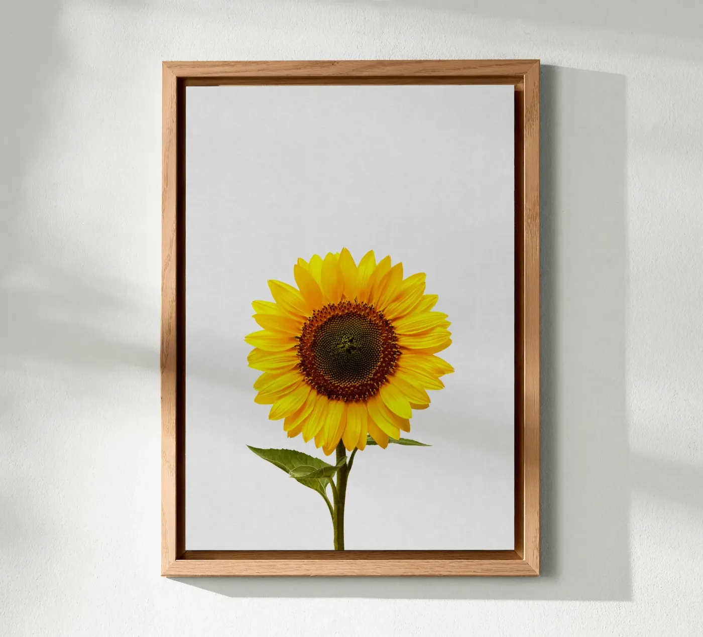 Sunflower forex plate by Orara Studio