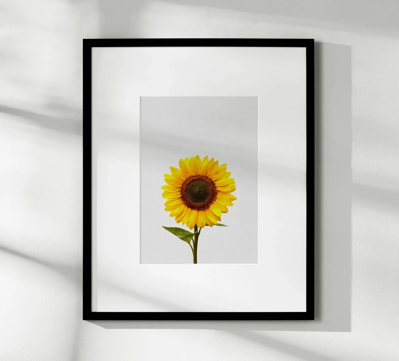 Girasole poster da Orara Studio