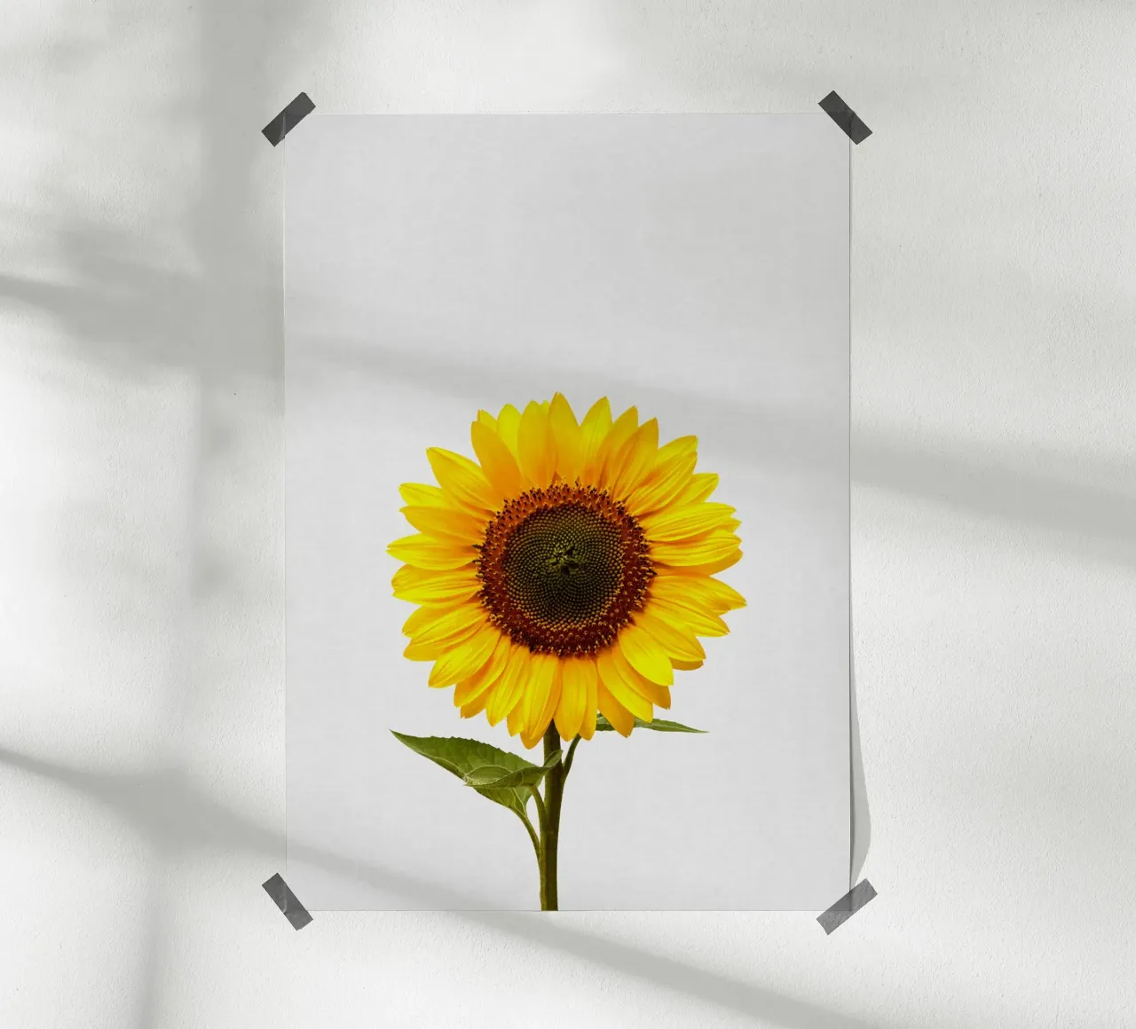 Girasole poster da Orara Studio