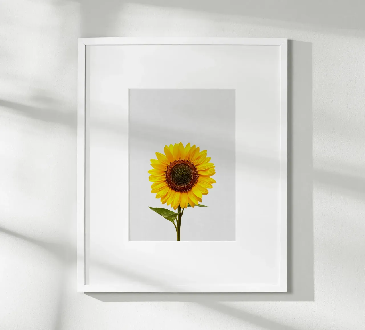 Girasole poster da Orara Studio