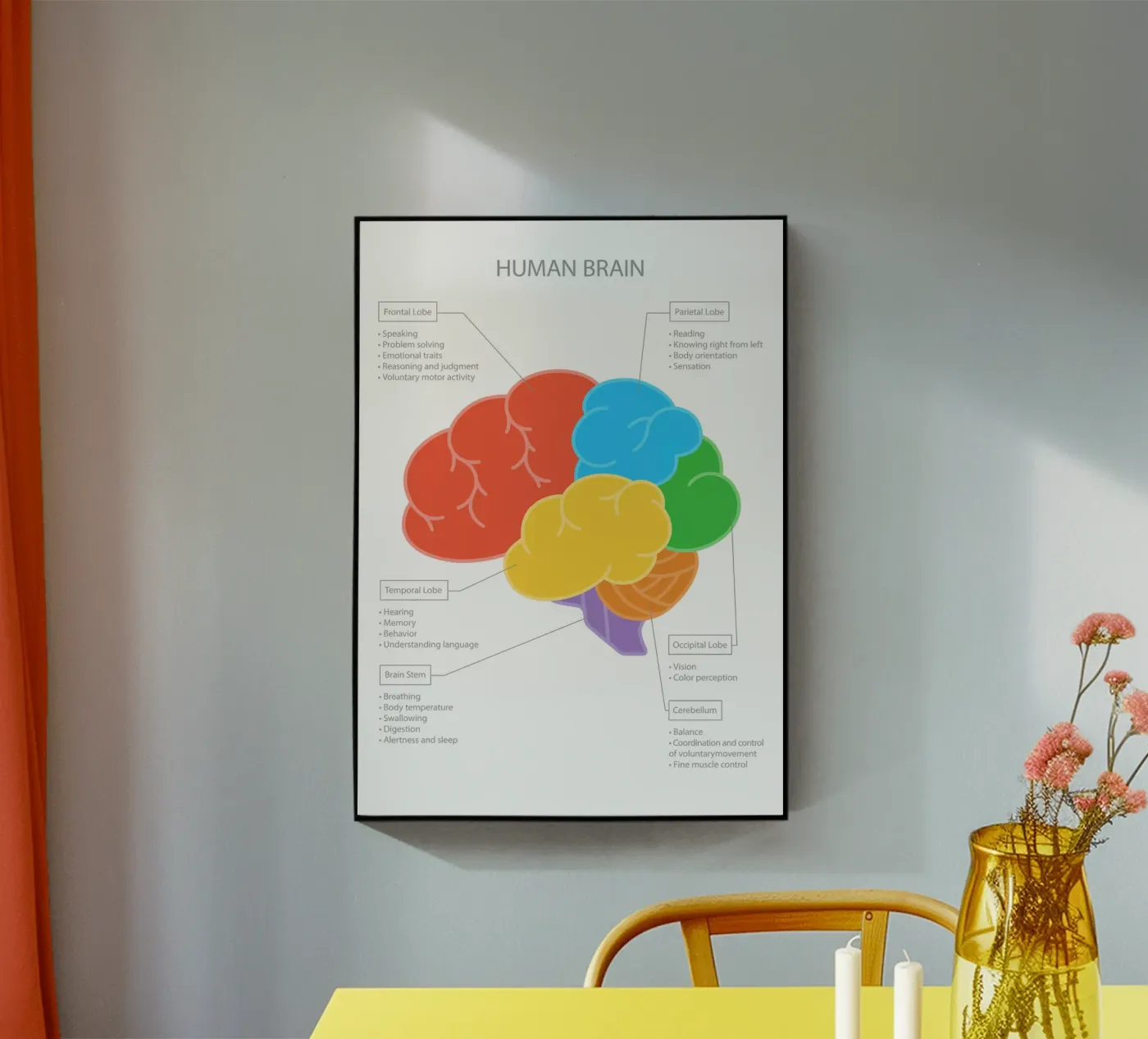 Human Brain acrylic glass by Lidia Blomgren