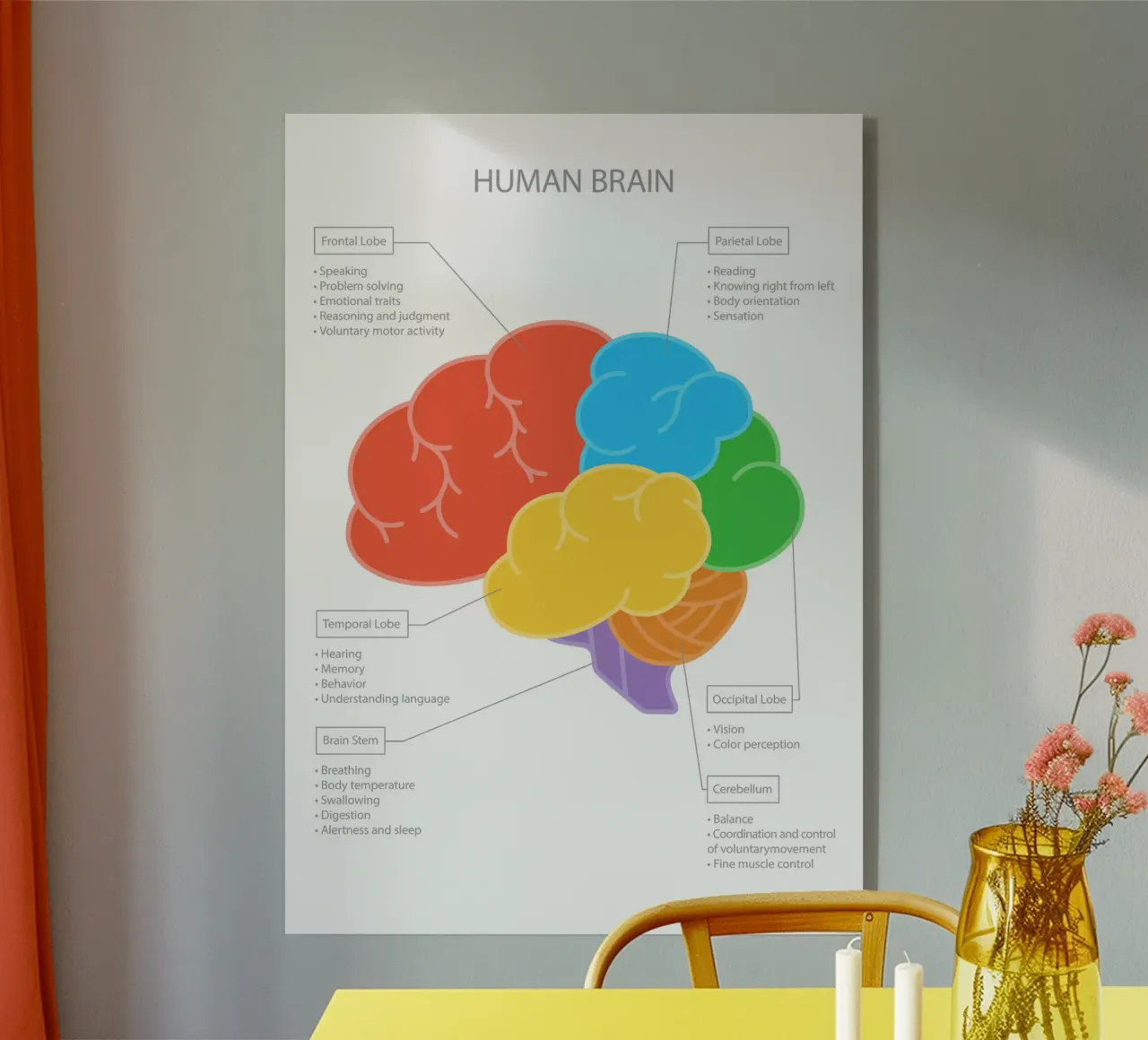 Human Brain plexiglass da Lidia Blomgren