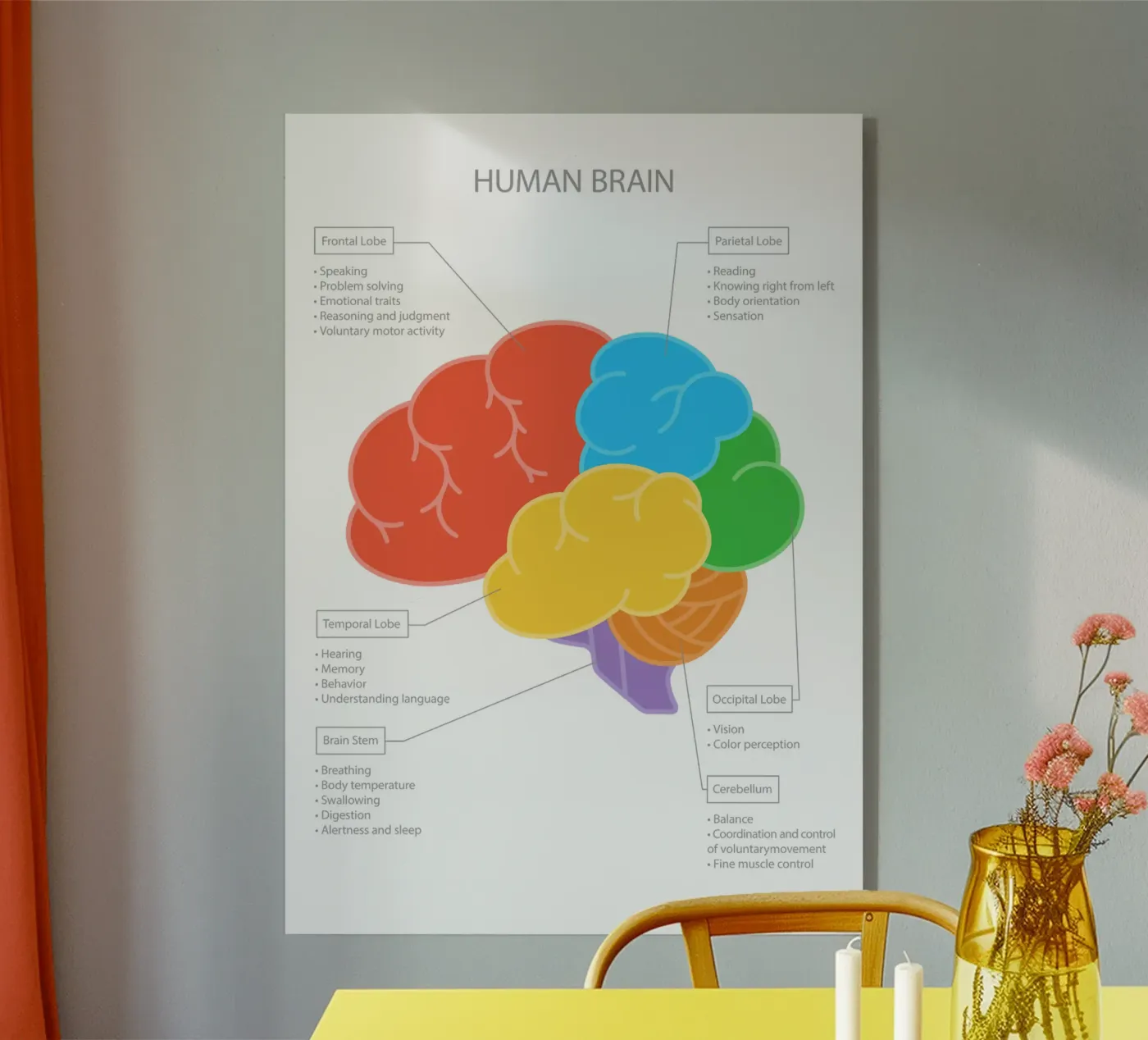 Human Brain acrylic glass by Lidia Blomgren