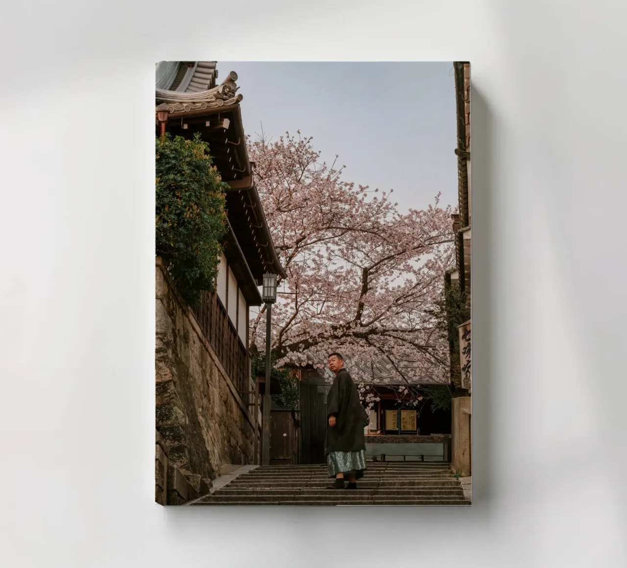 Scala dei ciliegi in fiore a Kyoto, Giappone diario da mbgraphx2