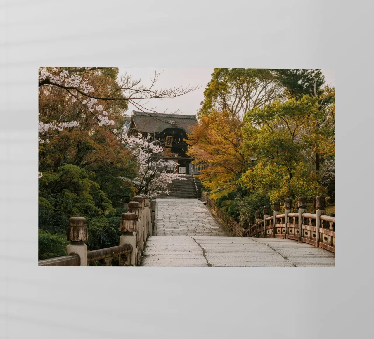 Tempio giapponese dei ciliegi in fiore a Kyoto, Giappone pellicola backlit da mbgraphx2