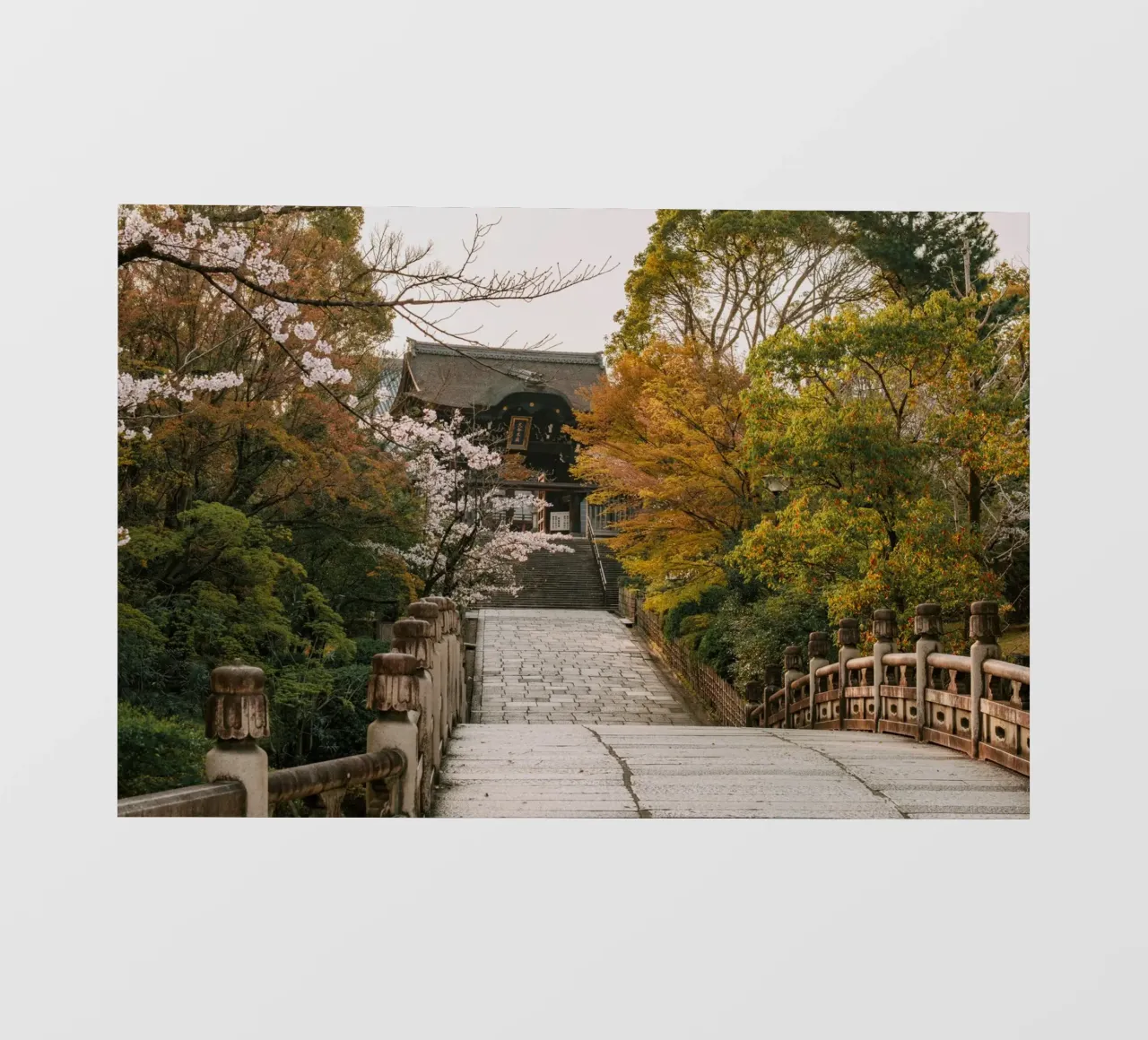 Tempio giapponese dei ciliegi in fiore a Kyoto, Giappone pellicola backlit da mbgraphx2