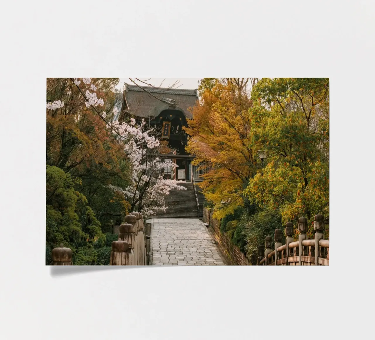 Tempio giapponese dei ciliegi in fiore a Kyoto, Giappone foglio adesivo da mbgraphx2