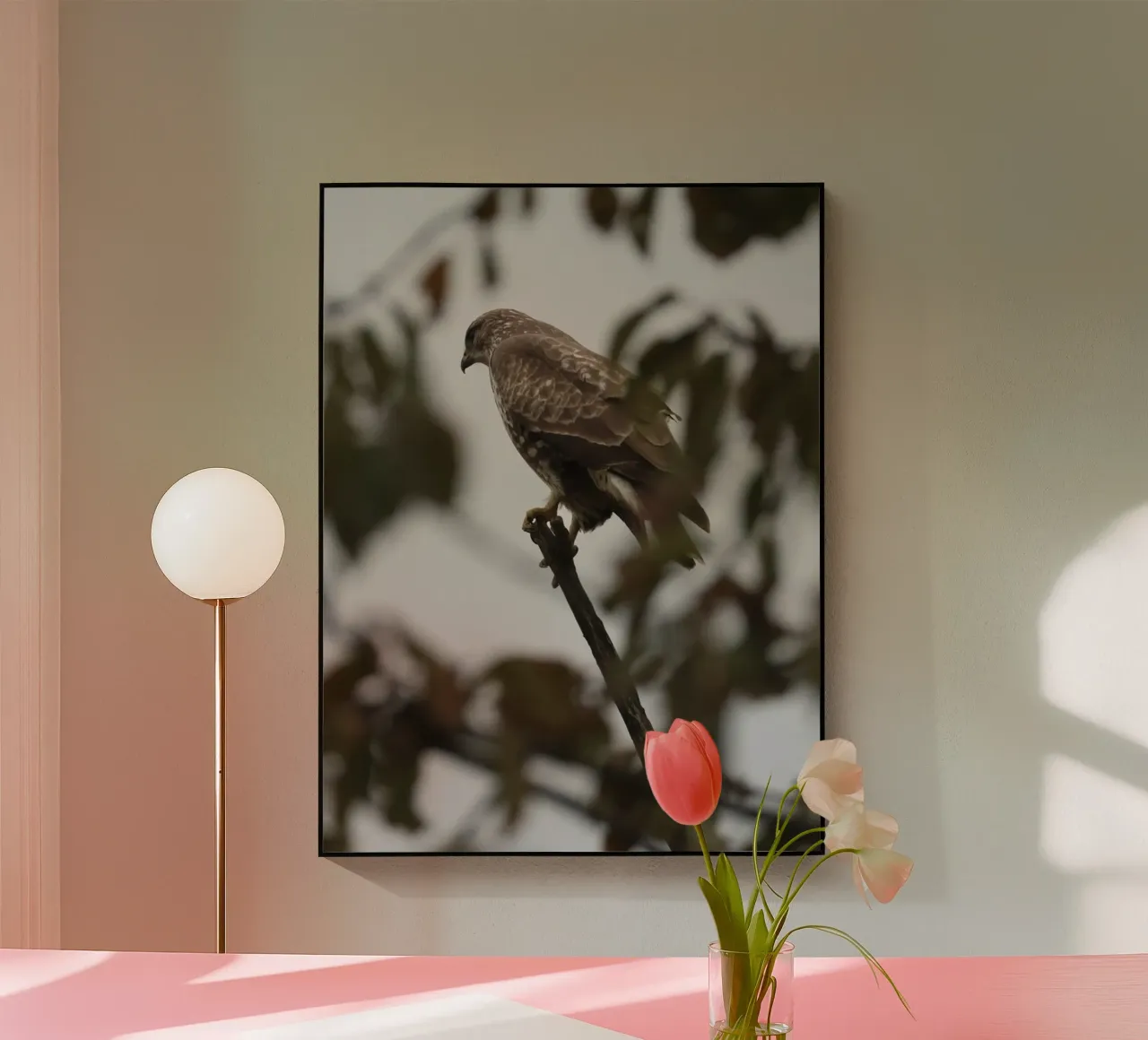 Mäusebussard plexiglass da Buntblick