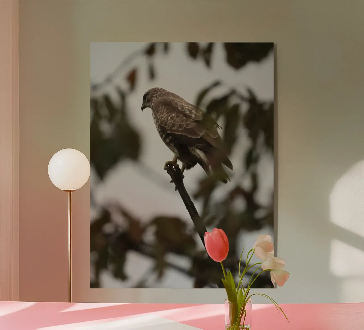 Mäusebussard plexiglass da Buntblick