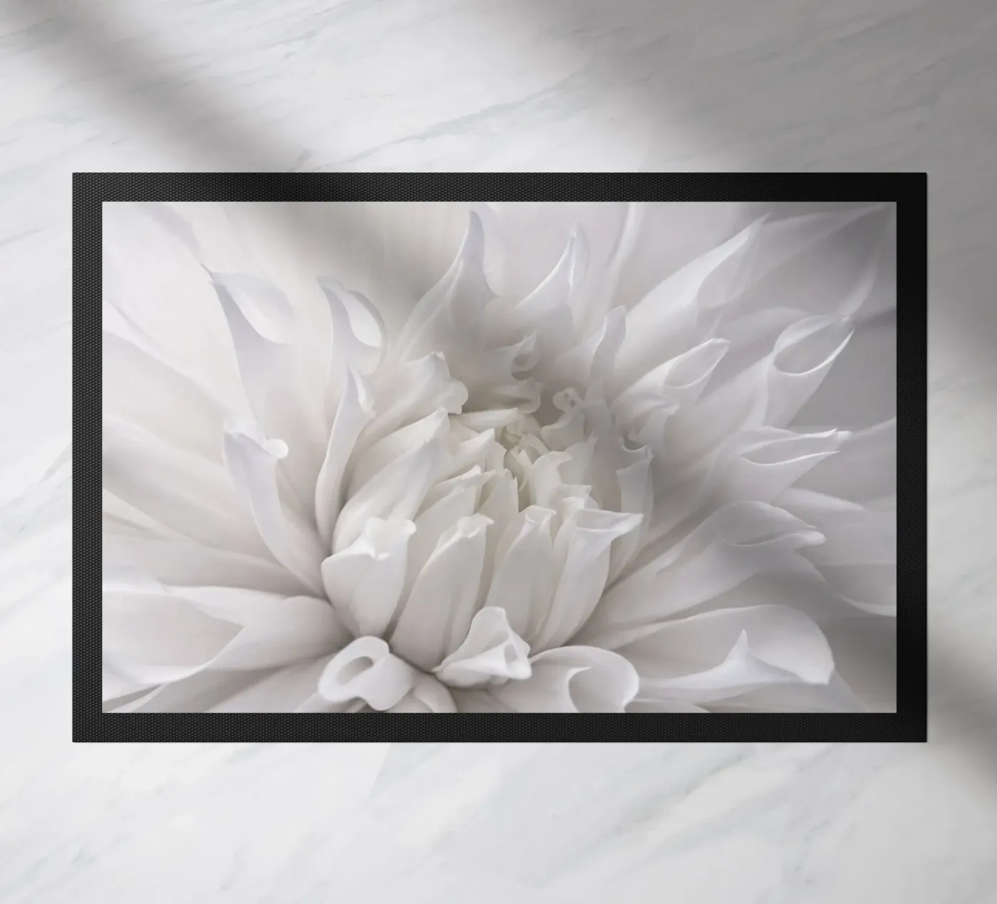 Dahlia zerbino da Atteloi