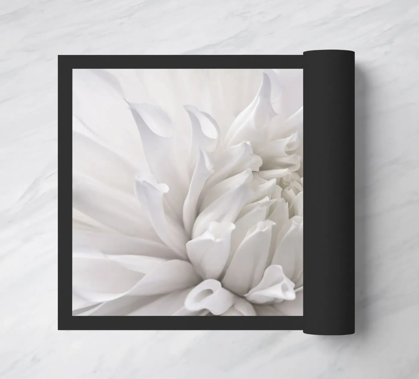 Dahlia zerbino da Atteloi