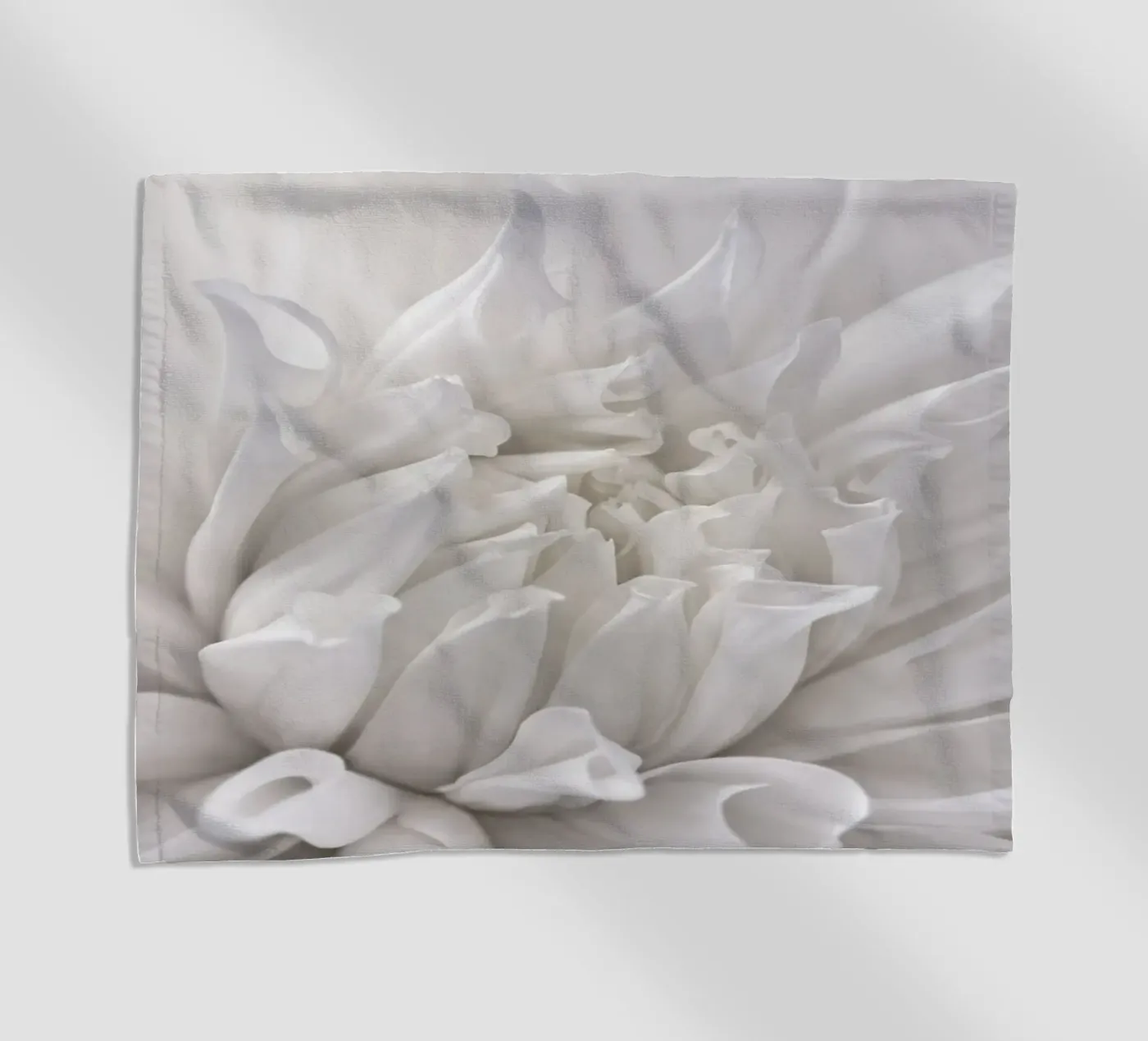 Dahlia telo mare da Atteloi