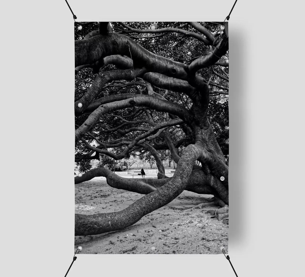 Old tree telo in pvc da Fjöllart