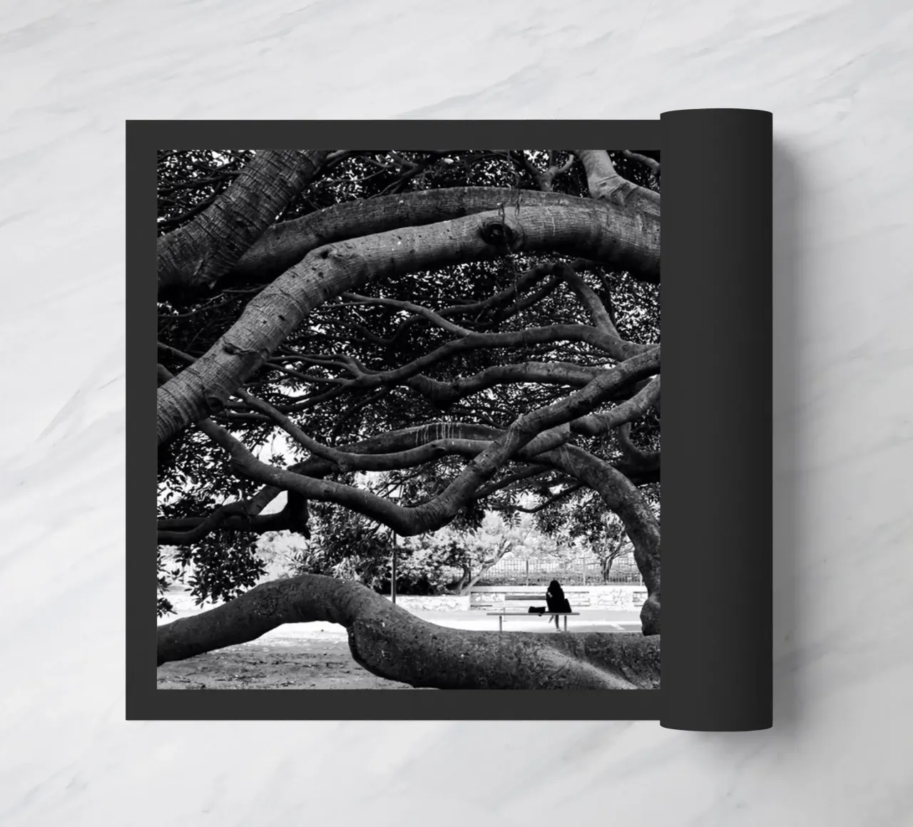 Old tree zerbino da Fjöllart